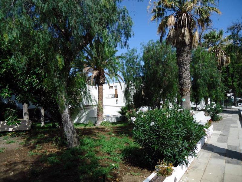 Cozy In In The South Coast Of Tenerife * Costa del Silencio